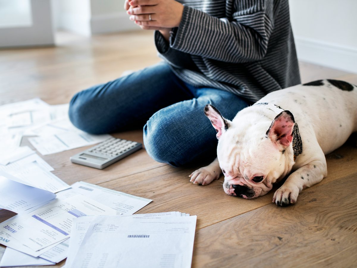 Iemand zit met rekeningen op de vloer, de hond ligt ernaast